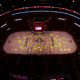 Illustration for article titled The Florida Panthers Want $80 Million In Taxpayer Money, Just Because